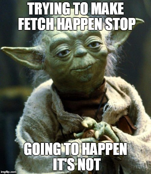 Star Wars Yoda Meme | TRYING TO MAKE FETCH HAPPEN STOP; GOING TO HAPPEN IT'S NOT | image tagged in memes,star wars yoda | made w/ Imgflip meme maker