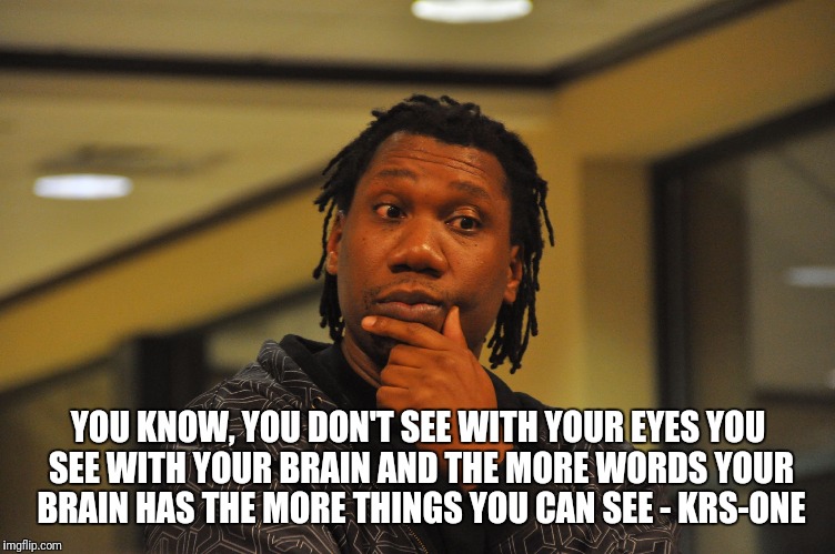 Philosopher Week - A NemoNeem1221 Event - May 15-21 | YOU KNOW, YOU DON'T SEE WITH YOUR EYES
YOU SEE WITH YOUR BRAIN
AND THE MORE WORDS YOUR BRAIN HAS
THE MORE THINGS YOU CAN SEE - KRS-ONE | image tagged in philosophy | made w/ Imgflip meme maker
