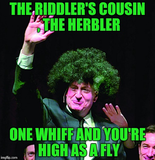 Not so Super Villains (He's legal in California) | THE RIDDLER'S COUSIN , THE HERBLER; ONE WHIFF AND YOU'RE HIGH AS A FLY | image tagged in herb,clown,smokey | made w/ Imgflip meme maker
