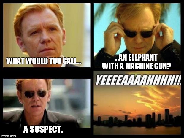 CSI | ...AN ELEPHANT WITH A MACHINE GUN? WHAT WOULD YOU CALL... A SUSPECT. | image tagged in csi | made w/ Imgflip meme maker