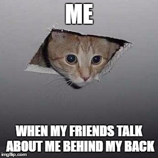 Ceiling Cat Meme | ME; WHEN MY FRIENDS TALK ABOUT ME BEHIND MY BACK | image tagged in memes,ceiling cat | made w/ Imgflip meme maker