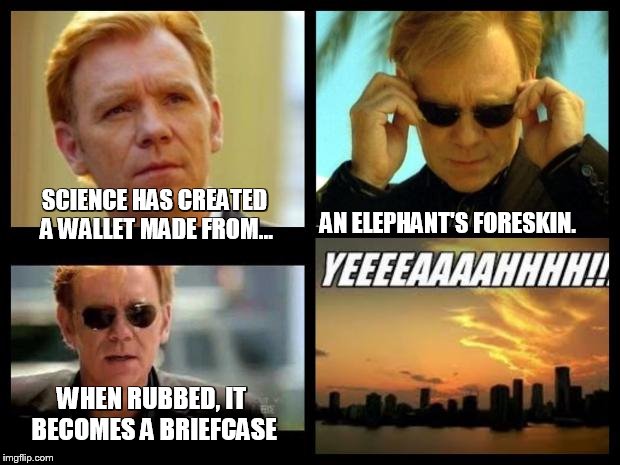 CSI | AN ELEPHANT'S FORESKIN. SCIENCE HAS CREATED A WALLET MADE FROM... WHEN RUBBED, IT BECOMES A BRIEFCASE | image tagged in csi | made w/ Imgflip meme maker