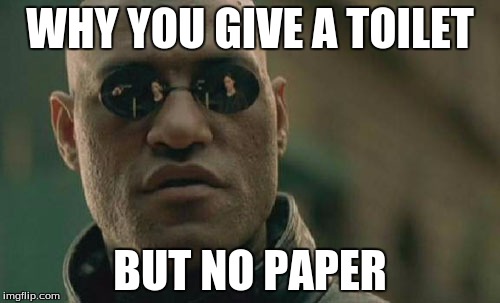 Matrix Morpheus Meme | WHY YOU GIVE A TOILET; BUT NO PAPER | image tagged in memes,matrix morpheus | made w/ Imgflip meme maker