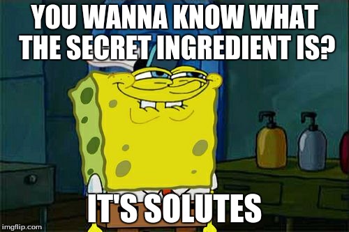 Don't You Squidward Meme | YOU WANNA KNOW WHAT THE SECRET INGREDIENT IS? IT'S SOLUTES | image tagged in memes,dont you squidward | made w/ Imgflip meme maker