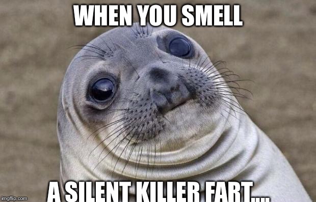 Awkward Moment Sealion | WHEN YOU SMELL; A SILENT KILLER FART.... | image tagged in memes,awkward moment sealion | made w/ Imgflip meme maker