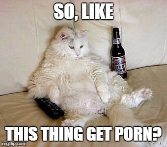 SO, LIKE THIS THING GET PORN? | made w/ Imgflip meme maker