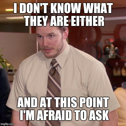 I DON'T KNOW WHAT THEY ARE EITHER AND AT THIS POINT I'M AFRAID TO ASK | made w/ Imgflip meme maker