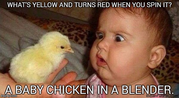 Little Riddle | WHAT'S YELLOW AND TURNS RED WHEN YOU SPIN IT? A BABY CHICKEN IN A BLENDER. | image tagged in animal charm,memes,funny,riddle | made w/ Imgflip meme maker