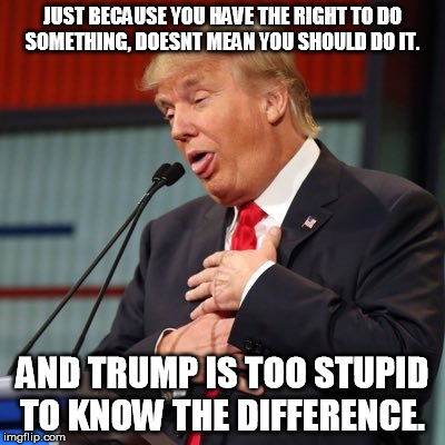 Trump | JUST BECAUSE YOU HAVE THE RIGHT TO DO SOMETHING, DOESNT MEAN YOU SHOULD DO IT. AND TRUMP IS TOO STUPID TO KNOW THE DIFFERENCE. | image tagged in stupid,trump,president,russia | made w/ Imgflip meme maker