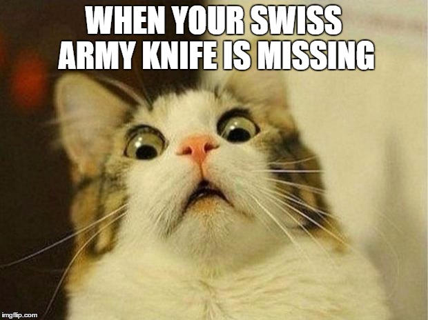 Scared Cat | WHEN YOUR SWISS ARMY KNIFE IS MISSING | image tagged in memes,scared cat | made w/ Imgflip meme maker