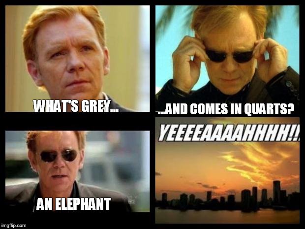 CSI | ...AND COMES IN QUARTS? WHAT'S GREY... AN ELEPHANT | image tagged in csi | made w/ Imgflip meme maker