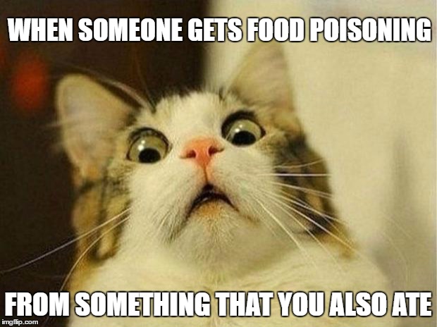 Scared Cat | WHEN SOMEONE GETS FOOD POISONING; FROM SOMETHING THAT YOU ALSO ATE | image tagged in memes,scared cat | made w/ Imgflip meme maker