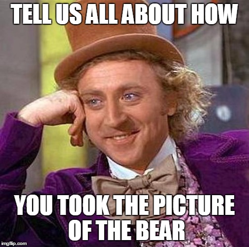 Creepy Condescending Wonka Meme | TELL US ALL ABOUT HOW YOU TOOK THE PICTURE OF THE BEAR | image tagged in memes,creepy condescending wonka | made w/ Imgflip meme maker