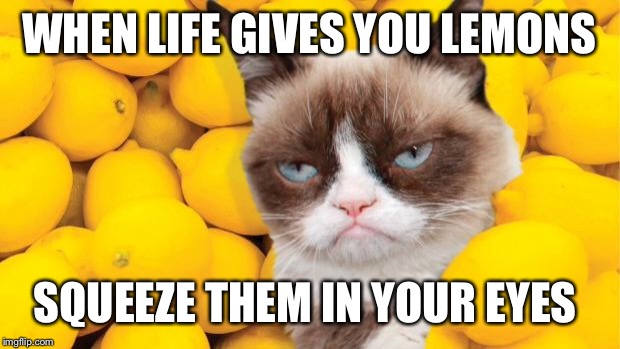 Grumpy Cat lemons | WHEN LIFE GIVES YOU LEMONS; SQUEEZE THEM IN YOUR EYES | image tagged in grumpy cat lemons | made w/ Imgflip meme maker