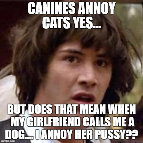 Conspiracy Keanu Meme | CANINES ANNOY CATS YES... BUT DOES THAT MEAN WHEN MY GIRLFRIEND CALLS ME A DOG.... I ANNOY HER PUSSY?? | image tagged in memes,conspiracy keanu | made w/ Imgflip meme maker