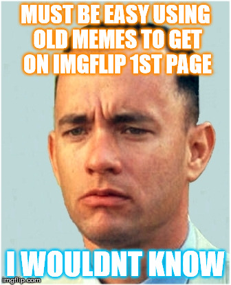 Hmm funny, yet aged old memes can still serve a purpose.... | MUST BE EASY USING OLD MEMES TO GET ON IMGFLIP 1ST PAGE; I WOULDNT KNOW | image tagged in forrest gump,funny memes,old school,forrest gump box of chocolates,lt dan,kittens running from flip | made w/ Imgflip meme maker