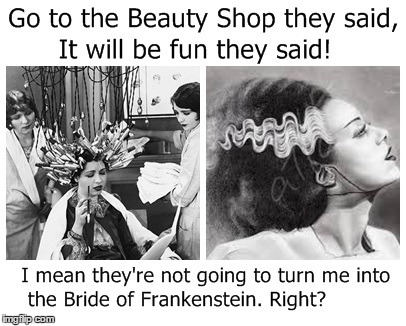 Beauty Shop Nightmare! | image tagged in 1930's beauty shop,bride of frankenstein | made w/ Imgflip meme maker