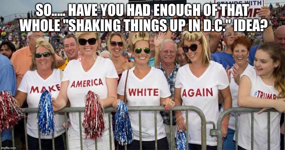 Racists | SO..... HAVE YOU HAD ENOUGH OF THAT WHOLE "SHAKING THINGS UP IN D.C." IDEA? | image tagged in idiots | made w/ Imgflip meme maker