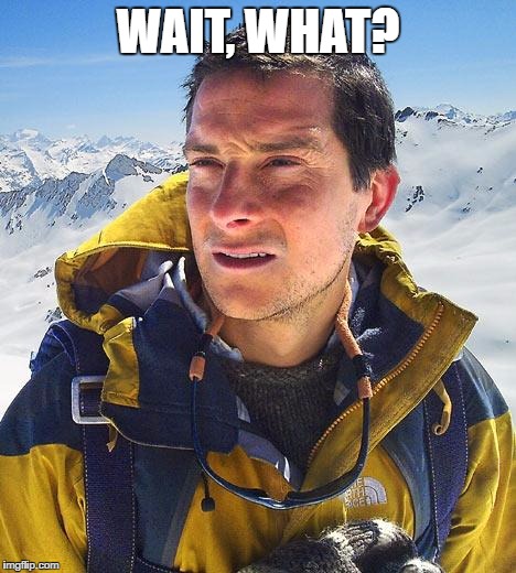 Bear Grylls Meme | WAIT, WHAT? | image tagged in memes,bear grylls | made w/ Imgflip meme maker