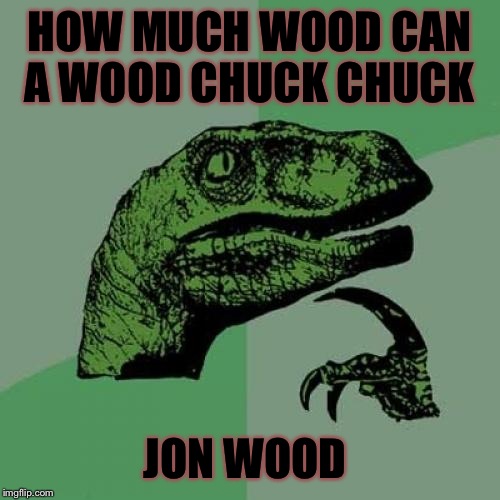 Philosoraptor Meme | HOW MUCH WOOD CAN A WOOD CHUCK CHUCK; JON WOOD | image tagged in memes,philosoraptor | made w/ Imgflip meme maker