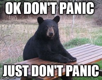 Dont Feed the Bears | OK DON'T PANIC; JUST DON'T PANIC | image tagged in dont feed the bears | made w/ Imgflip meme maker