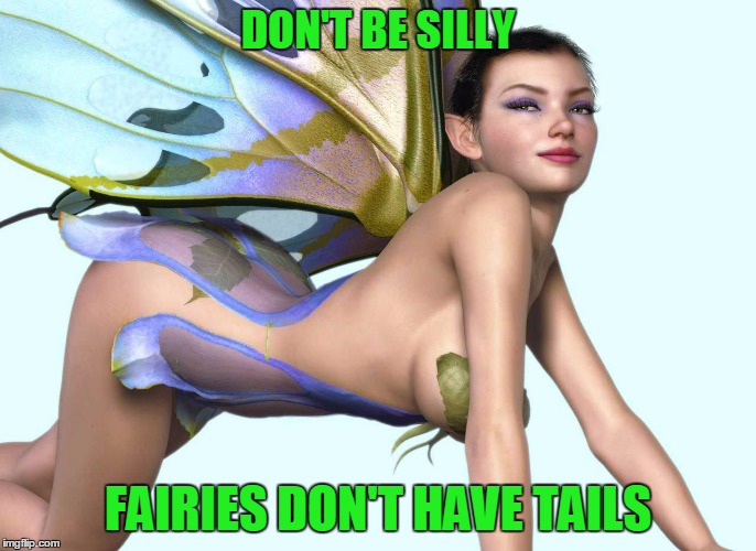 DON'T BE SILLY FAIRIES DON'T HAVE TAILS | made w/ Imgflip meme maker