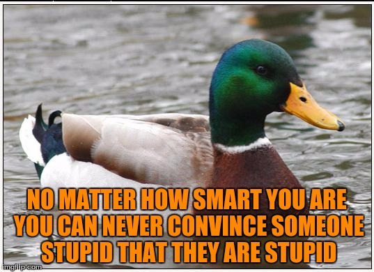 Actual Advice Mallard | NO MATTER HOW SMART YOU ARE YOU CAN NEVER CONVINCE SOMEONE STUPID THAT THEY ARE STUPID | image tagged in memes,actual advice mallard | made w/ Imgflip meme maker
