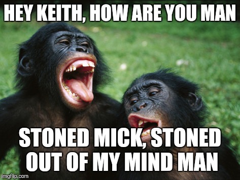 Bonobo Lyfe |  HEY KEITH, HOW ARE YOU MAN; STONED MICK, STONED OUT OF MY MIND MAN | image tagged in memes,bonobo lyfe | made w/ Imgflip meme maker