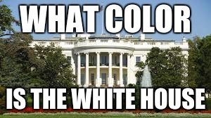 WHAT COLOR; IS THE WHITE HOUSE | image tagged in politics | made w/ Imgflip meme maker