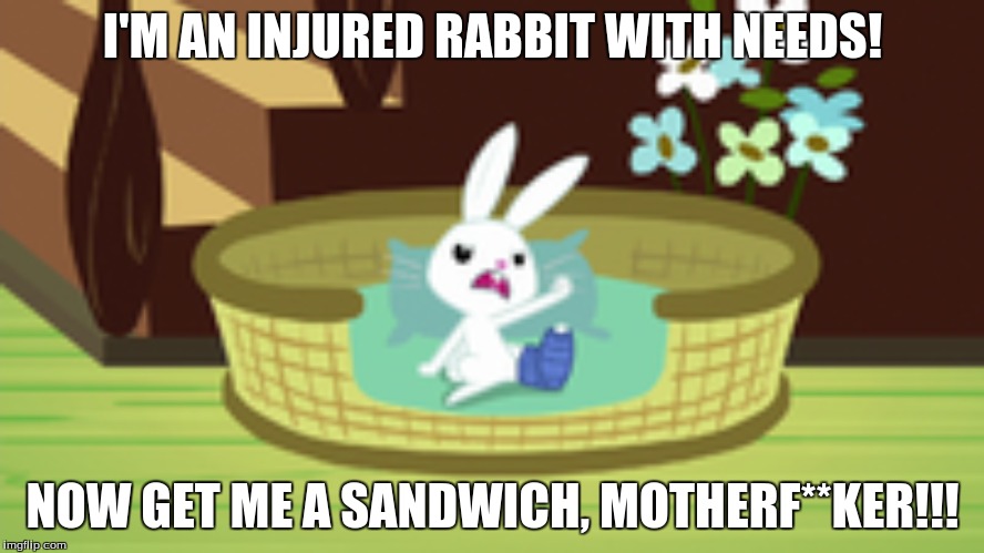 I'M AN INJURED RABBIT WITH NEEDS! NOW GET ME A SANDWICH, MOTHERF**KER!!! | made w/ Imgflip meme maker