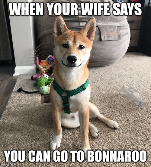Excited for Bonnaroo | WHEN YOUR WIFE SAYS; YOU CAN GO TO BONNAROO | image tagged in festivals,festival,smiling shiba | made w/ Imgflip meme maker