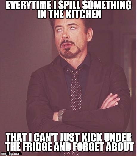 Sometimes it's an ice cube, other times it's a whole lot of something much more disgusting  | EVERYTIME I SPILL SOMETHING IN THE KITCHEN; THAT I CAN'T JUST KICK UNDER THE FRIDGE AND FORGET ABOUT | image tagged in memes,face you make robert downey jr | made w/ Imgflip meme maker