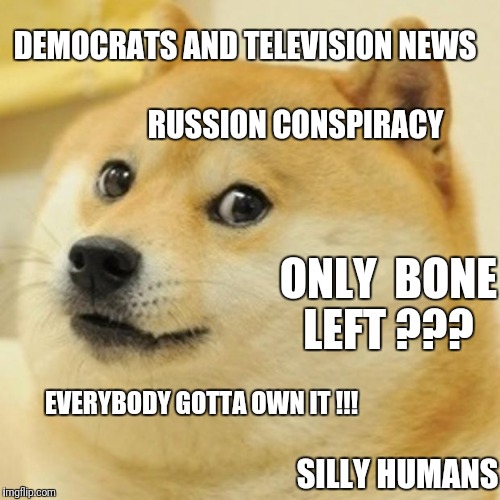 Doge on Politics  | DEMOCRATS AND TELEVISION NEWS; RUSSION CONSPIRACY; ONLY  BONE LEFT ??? EVERYBODY GOTTA OWN IT !!! SILLY HUMANS | image tagged in memes,doge,donald trump,russian hackers,election | made w/ Imgflip meme maker