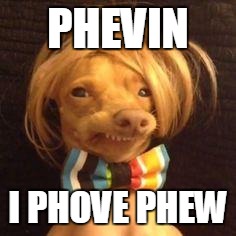 phteven dog | PHEVIN; I PHOVE PHEW | image tagged in phteven dog | made w/ Imgflip meme maker