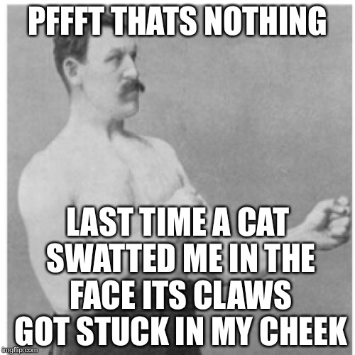 PFFFT THATS NOTHING LAST TIME A CAT SWATTED ME IN THE FACE ITS CLAWS GOT STUCK IN MY CHEEK | made w/ Imgflip meme maker