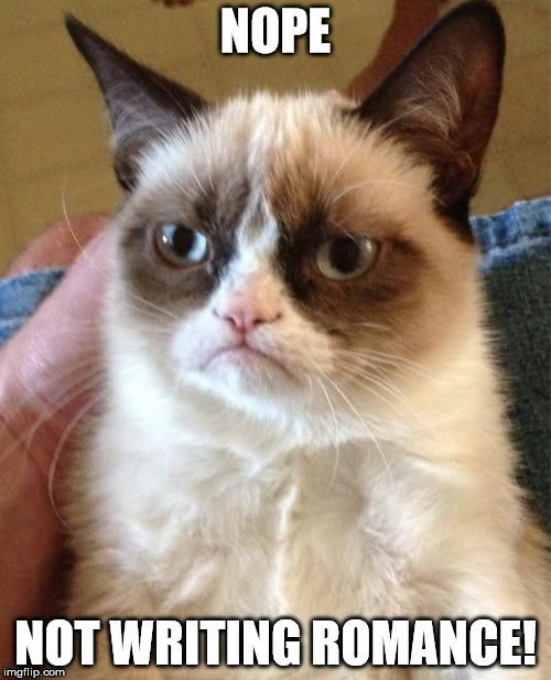 Grumpy Cat Meme | NOPE; NOT WRITING ROMANCE! | image tagged in memes,grumpy cat | made w/ Imgflip meme maker