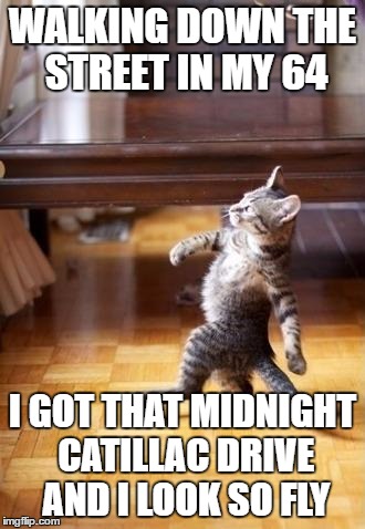 Cool Cat Stroll Meme | WALKING DOWN THE STREET IN MY 64; I GOT THAT MIDNIGHT CATILLAC DRIVE AND I LOOK SO FLY | image tagged in memes,cool cat stroll | made w/ Imgflip meme maker