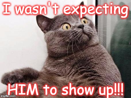 Surprised cat | I wasn't expecting; HIM to show up!!! | image tagged in surprised cat | made w/ Imgflip meme maker
