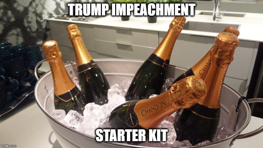 Trump Impeachment Starter Kit | TRUMP IMPEACHMENT; STARTER KIT | image tagged in donald trump,impeachment,starter pack | made w/ Imgflip meme maker