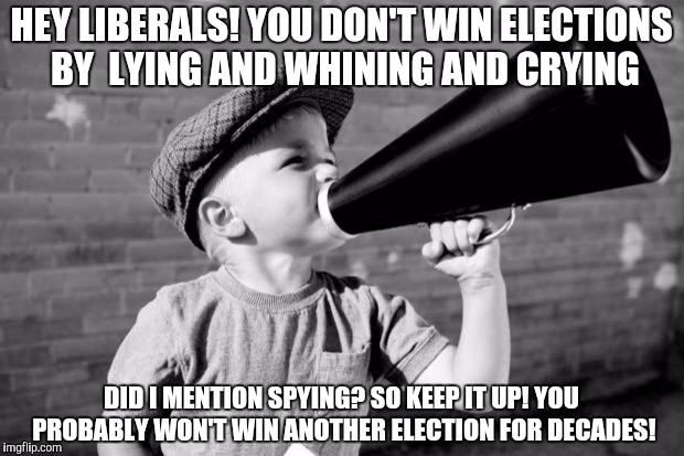 megaphone | HEY LIBERALS! YOU DON'T WIN ELECTIONS BY  LYING AND WHINING AND CRYING; DID I MENTION SPYING? SO KEEP IT UP! YOU PROBABLY WON'T WIN ANOTHER ELECTION FOR DECADES! | image tagged in megaphone | made w/ Imgflip meme maker