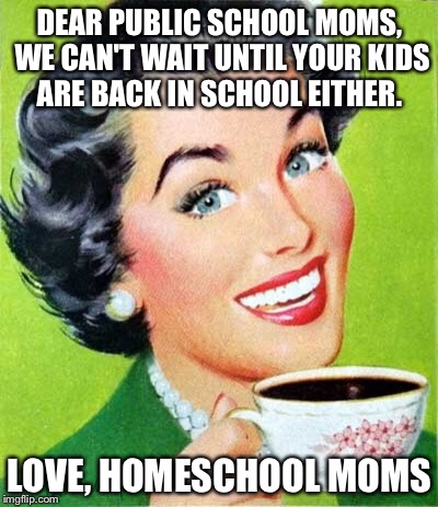 Dear public school moms | DEAR PUBLIC SCHOOL MOMS, WE CAN'T WAIT UNTIL YOUR KIDS ARE BACK IN SCHOOL EITHER. LOVE, HOMESCHOOL MOMS | image tagged in mom,homeschool,homeschooling,summer vacation | made w/ Imgflip meme maker