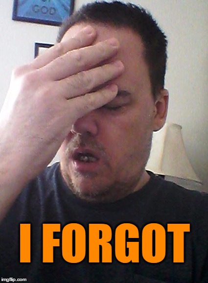 face palm | I FORGOT | image tagged in face palm | made w/ Imgflip meme maker