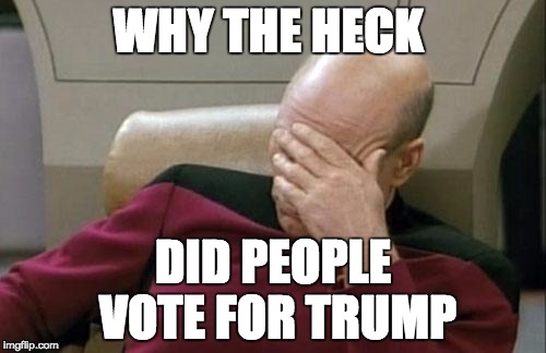 Captain Picard Facepalm Meme | WHY THE HECK; DID PEOPLE VOTE FOR TRUMP | image tagged in memes,captain picard facepalm | made w/ Imgflip meme maker
