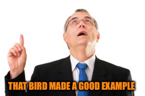 Man Pointing Up | THAT BIRD MADE A GOOD EXAMPLE | image tagged in man pointing up | made w/ Imgflip meme maker