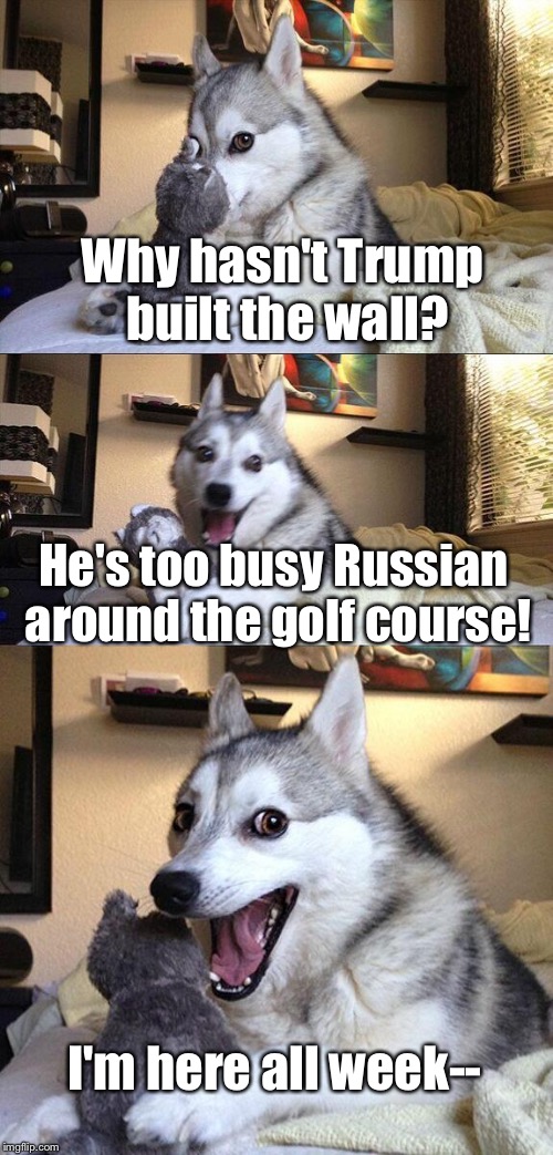 Bad Pun Dog Meme | Why hasn't Trump built the wall? He's too busy Russian around the golf course! I'm here all week-- | image tagged in memes,bad pun dog,trump,donald trump,funny,resist | made w/ Imgflip meme maker