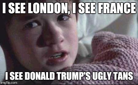 I See Dead People | I SEE LONDON, I SEE FRANCE; I SEE DONALD TRUMP'S UGLY TANS | image tagged in memes,i see dead people | made w/ Imgflip meme maker