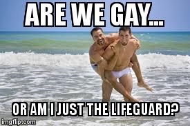 Two gay guys | ARE WE GAY... OR AM I JUST THE LIFEGUARD? | image tagged in two gay guys | made w/ Imgflip meme maker