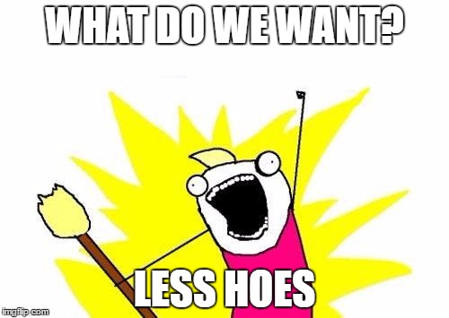X All The Y Meme | WHAT DO WE WANT? LESS HOES | image tagged in memes,x all the y | made w/ Imgflip meme maker