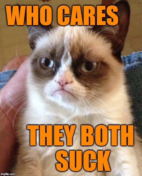 Grumpy Cat Meme | WHO CARES THEY BOTH SUCK | image tagged in memes,grumpy cat | made w/ Imgflip meme maker