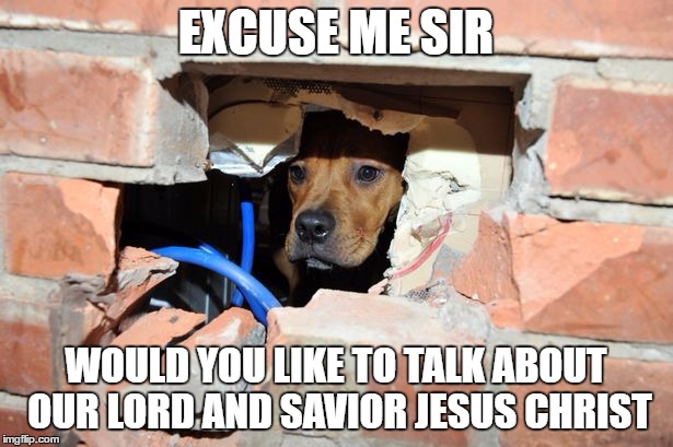 They're everywhere.... | EXCUSE ME SIR; WOULD YOU LIKE TO TALK ABOUT OUR LORD AND SAVIOR JESUS CHRIST | image tagged in jesus,dog,wall | made w/ Imgflip meme maker